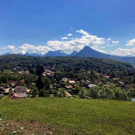 Cabane Pour Vos Vacances A 190M Du Lac D'Annecy Menthon-Saint-Bernard Kültér fotó