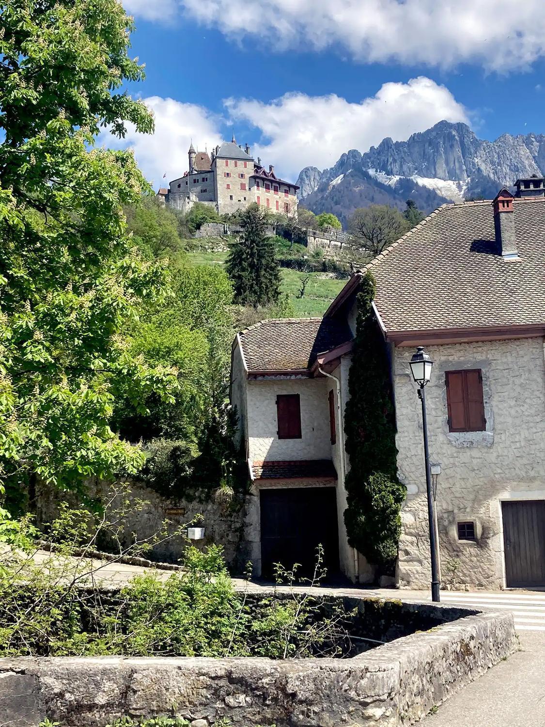 Cabane Pour Vos Vacances A 190M Du Lac D'Annecy Menthon-Saint-Bernard Kültér fotó